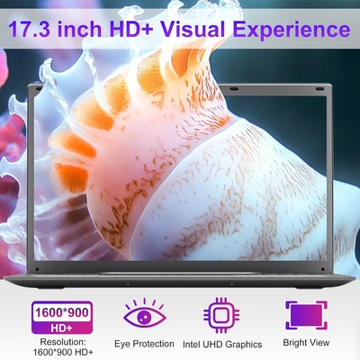 17.3 pouces ordinateur portable Windows Intel 4-Core N100 affichage HD Windows 11 Pro ordinateur portable